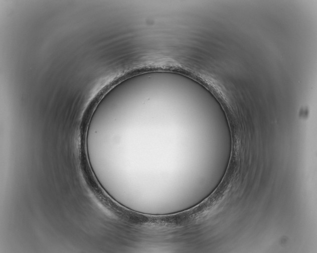 X0000091300630200708101048