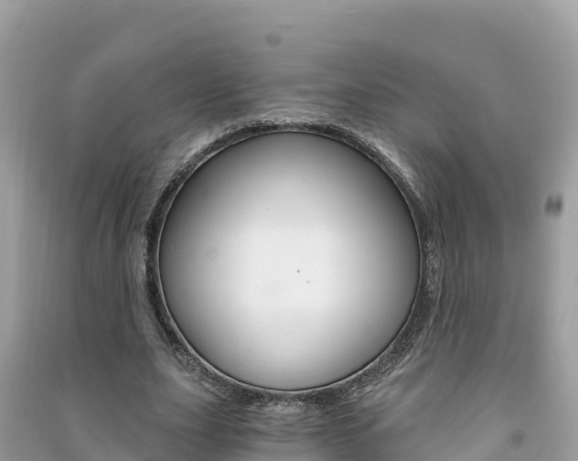 X0000091300631200708101048