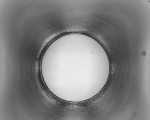 X0000091300632200708101048