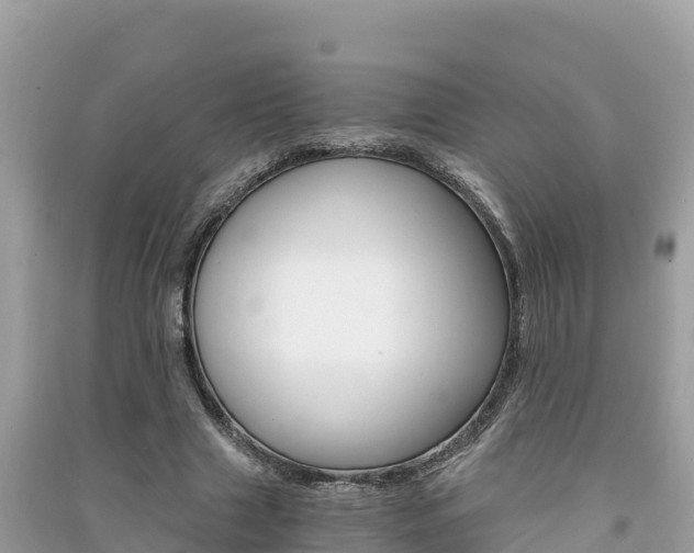 X0000091300633200708101048