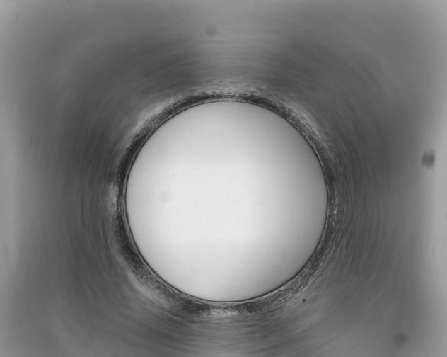X0000091300636200708101048