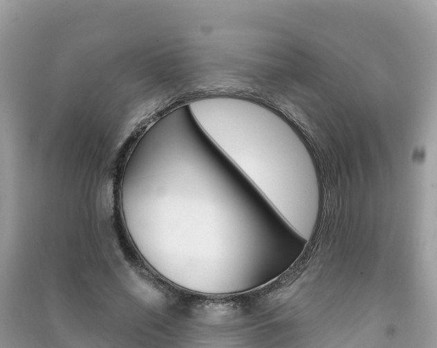 X0000091300638200708101048