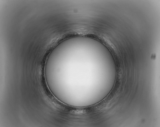 X0000091300639200708101048