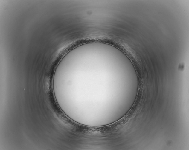 X0000091300640200708101048