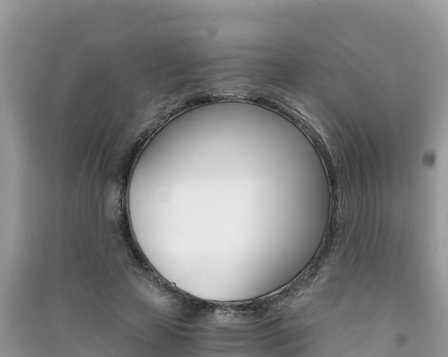 X0000091300641200708101048