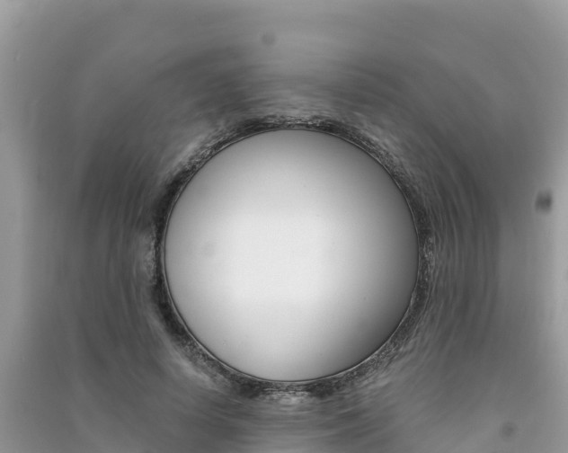 X0000091300642200708101048