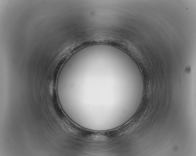 X0000091300644200708101049