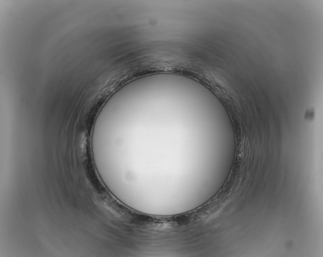 X0000091300646200708101049