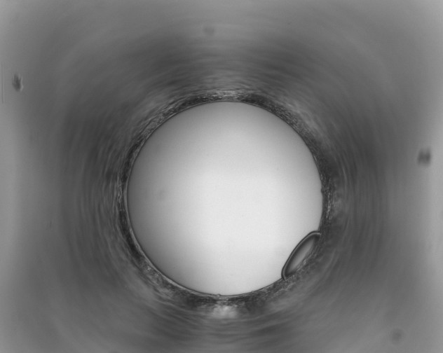 X0000091300647200708101049