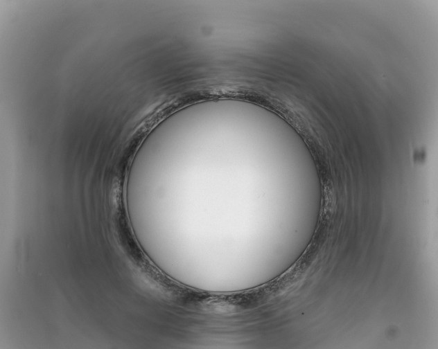 X0000091300648200708101049