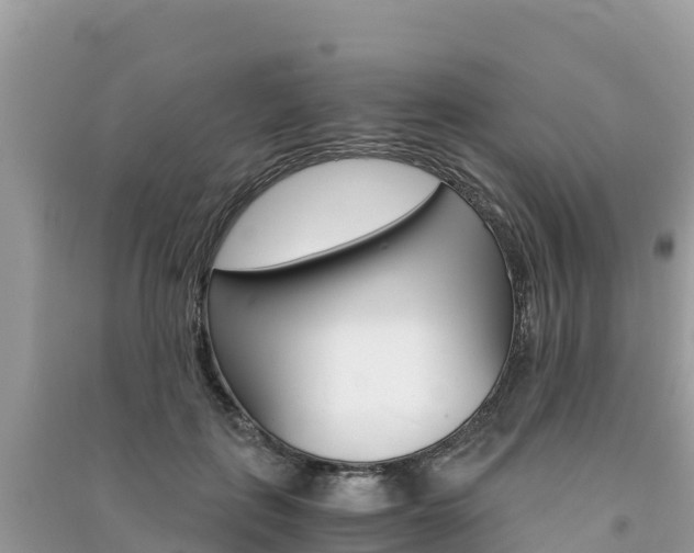 X0000091300651200708101049