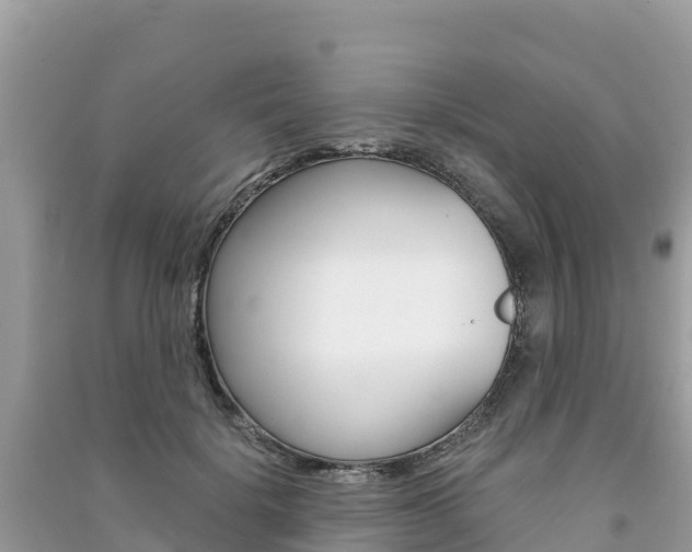 X0000091300652200708101049