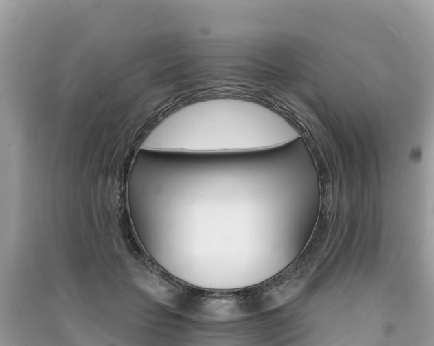 X0000091300653200708101049