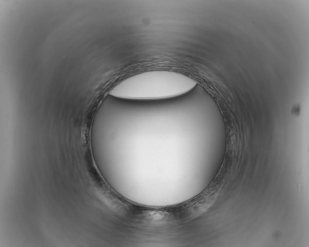 X0000091300654200708101049