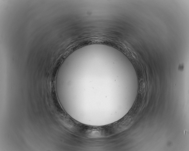 X0000091300655200708101049
