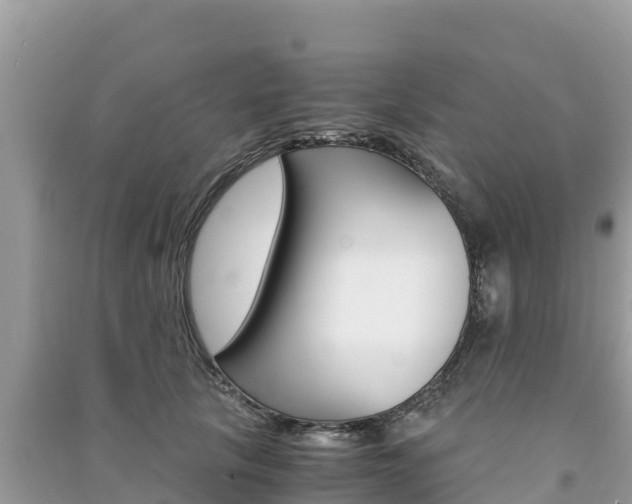 X0000091300657200708101049