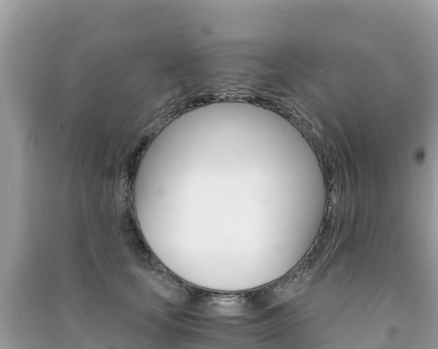 X0000091300659200708101049