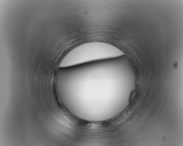 X0000091300660200708101049