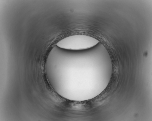 X0000091300661200708101049