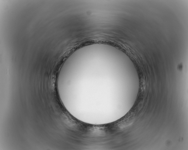 X0000091300664200708101049
