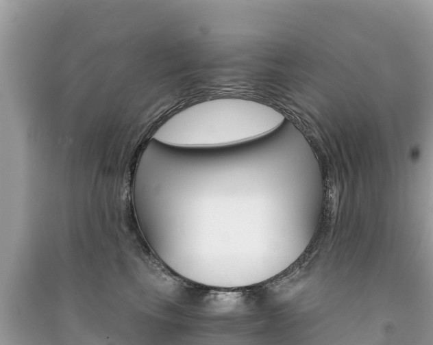 X0000091300665200708101049