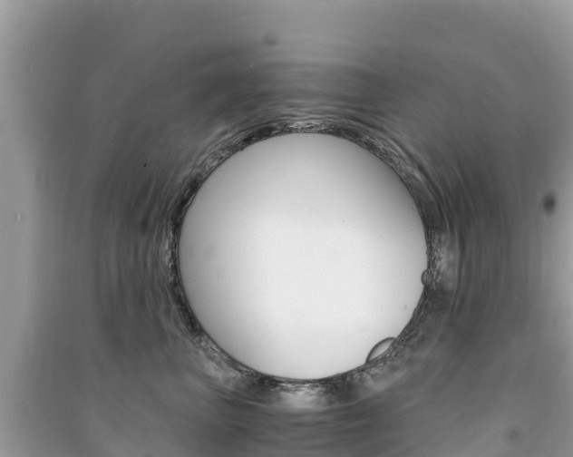 X0000091300667200708101049