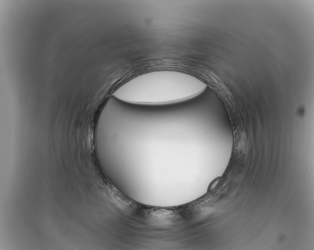 X0000091300669200708101049