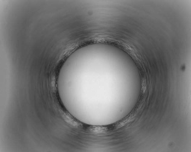 X0000091300670200708101049