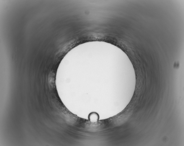 X0000091300672200708101049
