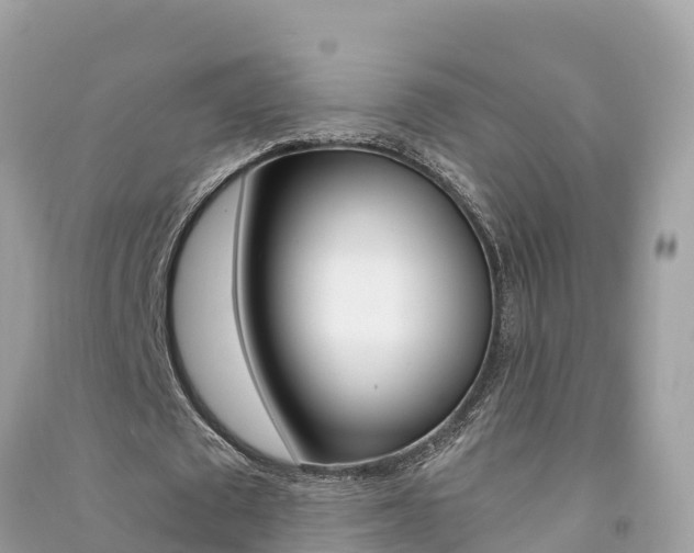 X0000091300673200708101048