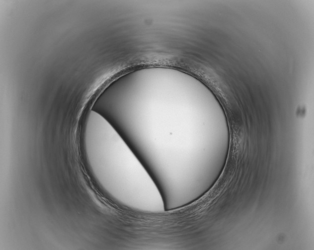X0000091300674200708101048