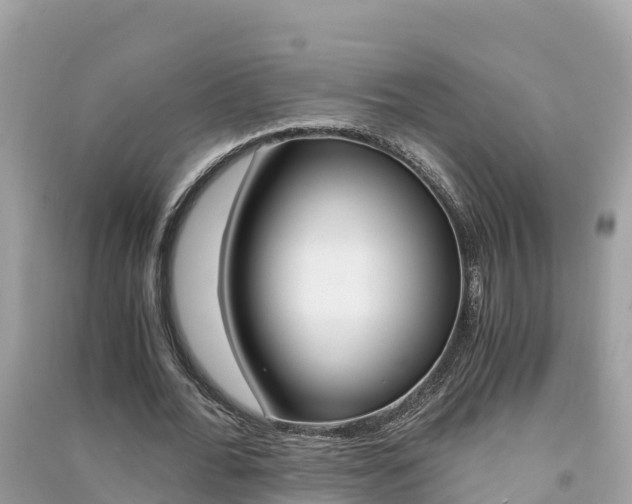 X0000091300676200708101048