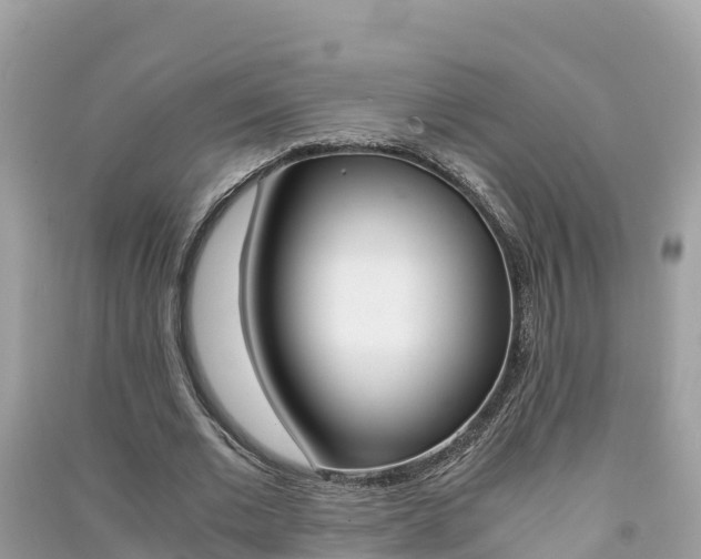 X0000091300677200708101048