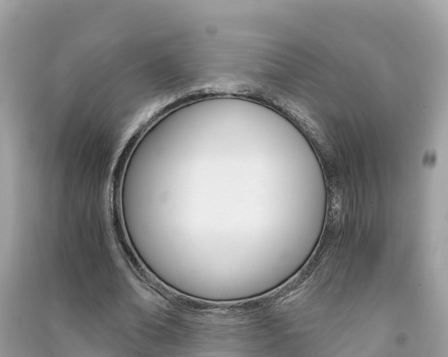 X0000091300678200708101048