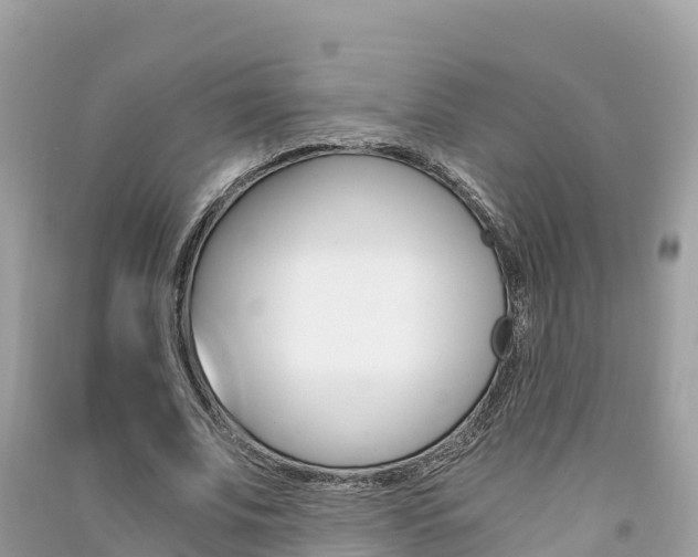 X0000091300679200708101048
