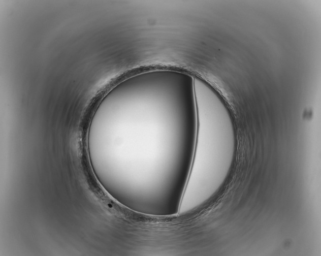 X0000091300680200708101048