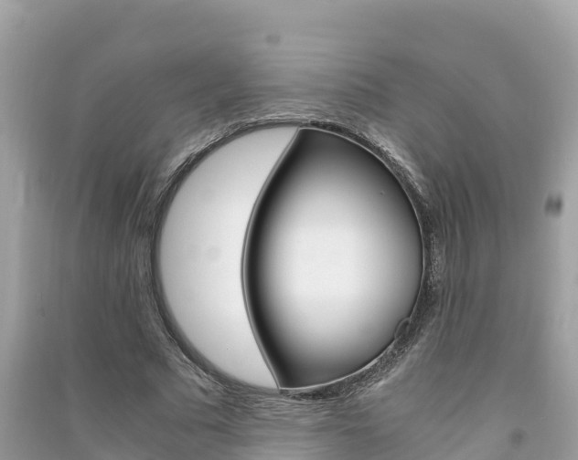 X0000091300681200708101048