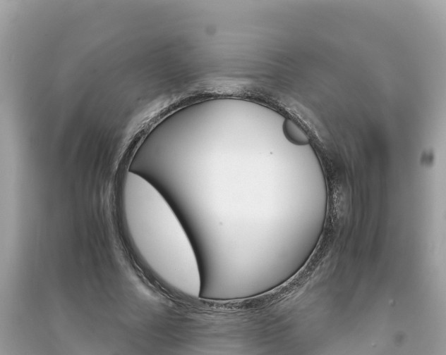 X0000091300682200708101048