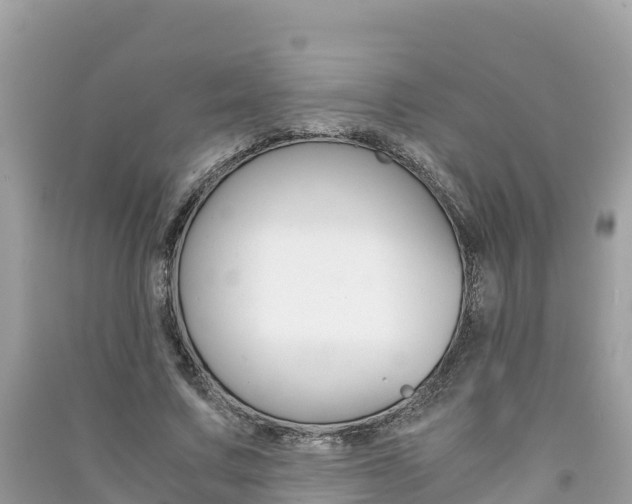 X0000091300683200708101048