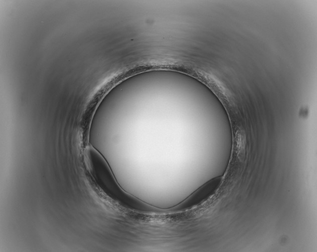 X0000091300684200708101048