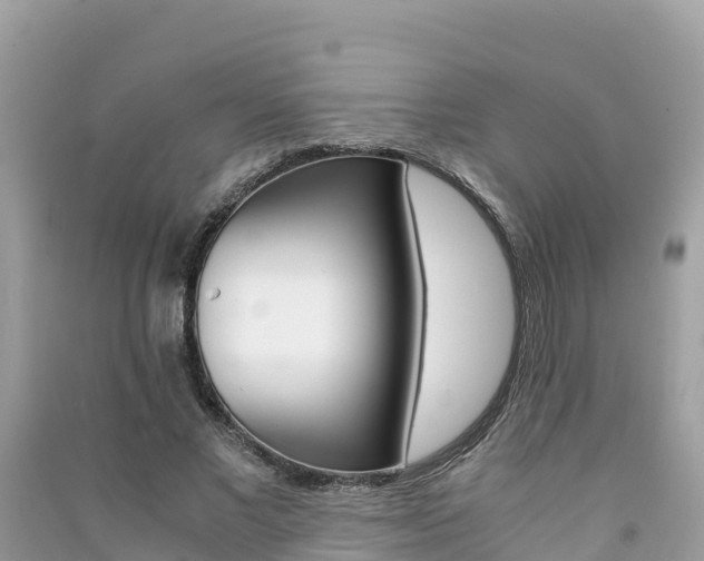 X0000091300685200708101048
