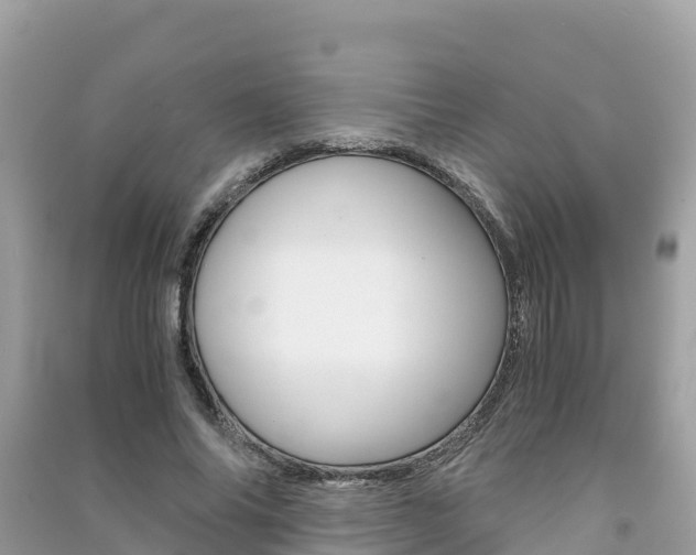 X0000091300686200708101048