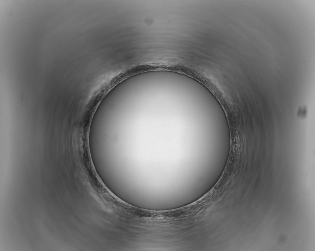 X0000091300688200708101048