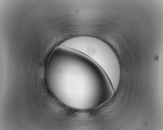 X0000091300689200708101048