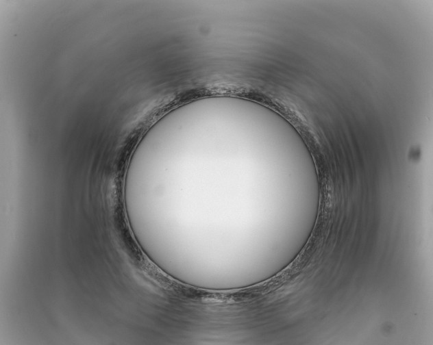 X0000091300690200708101048