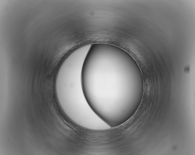 X0000091300692200708101048