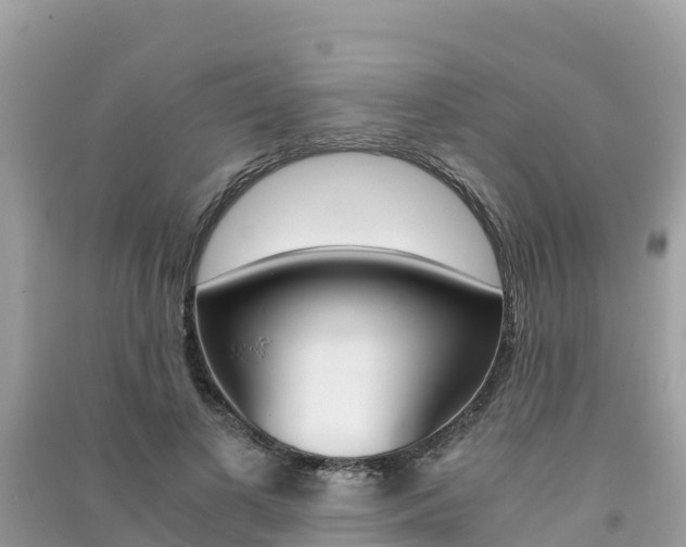X0000091300693200708101048