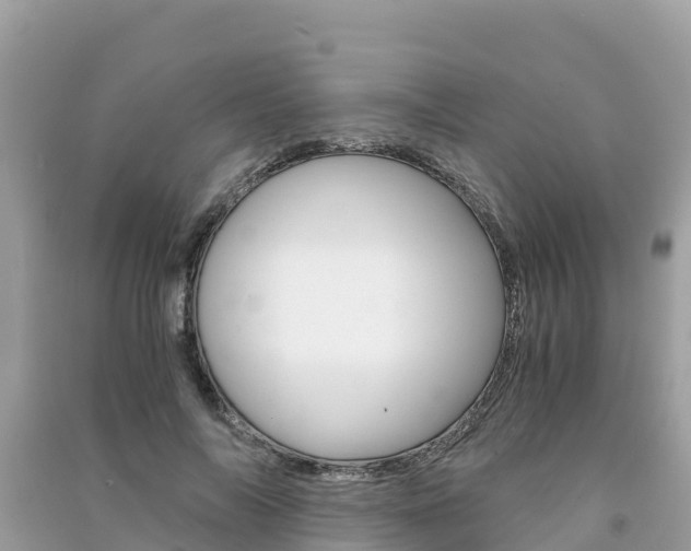 X0000091300694200708101048