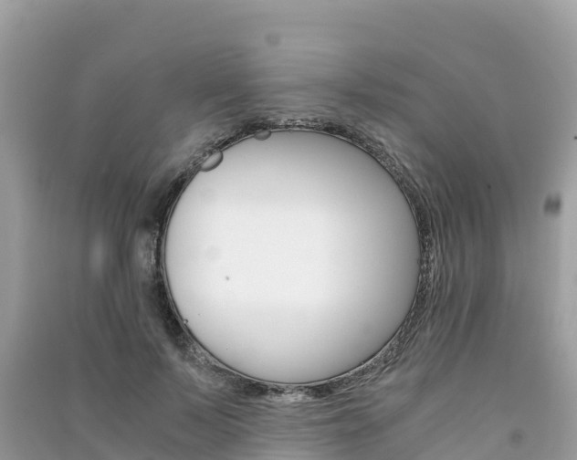 X0000091300695200708101048