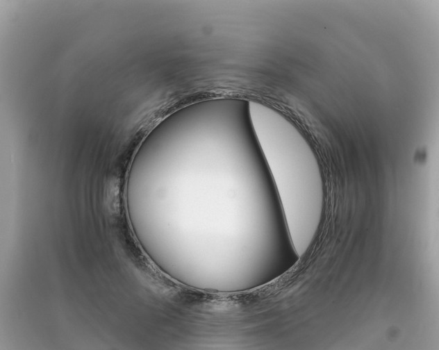 X0000091300696200708101048
